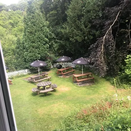 Hotel Salmon Leap 3*