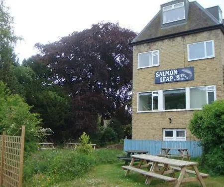 Salmon Leap 3*