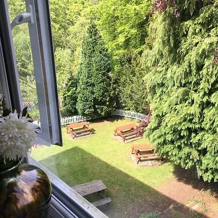 Salmon Leap Hotell 3*
