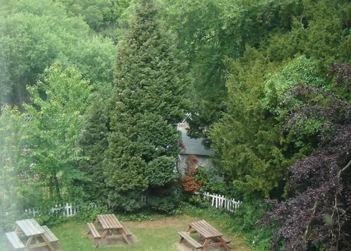 Salmon Leap Sleights