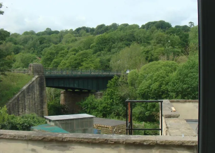 Salmon Leap Sleights