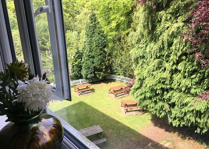 Salmon Leap Hotel 3*