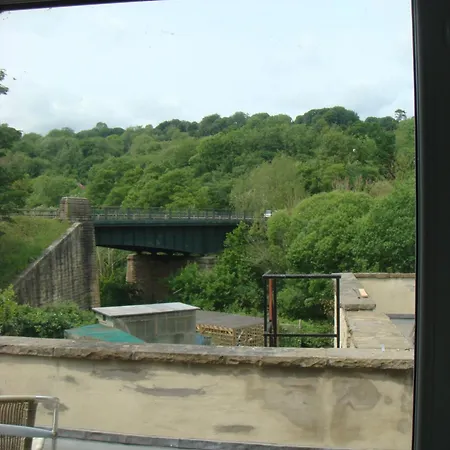 Salmon Leap Sleights